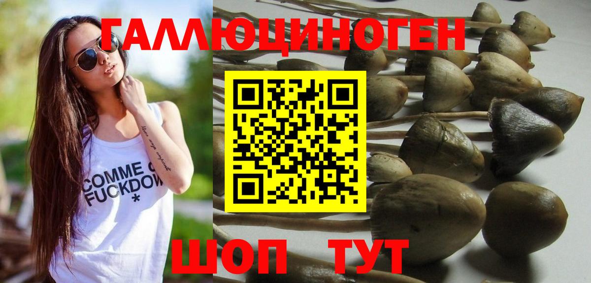 Галлюциногенные грибы MAGIC MUSHROOMS Асбест